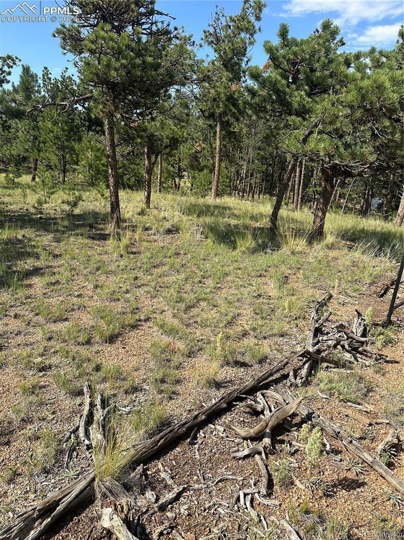 315 Thunder Ridge Road Florissant CO 80816