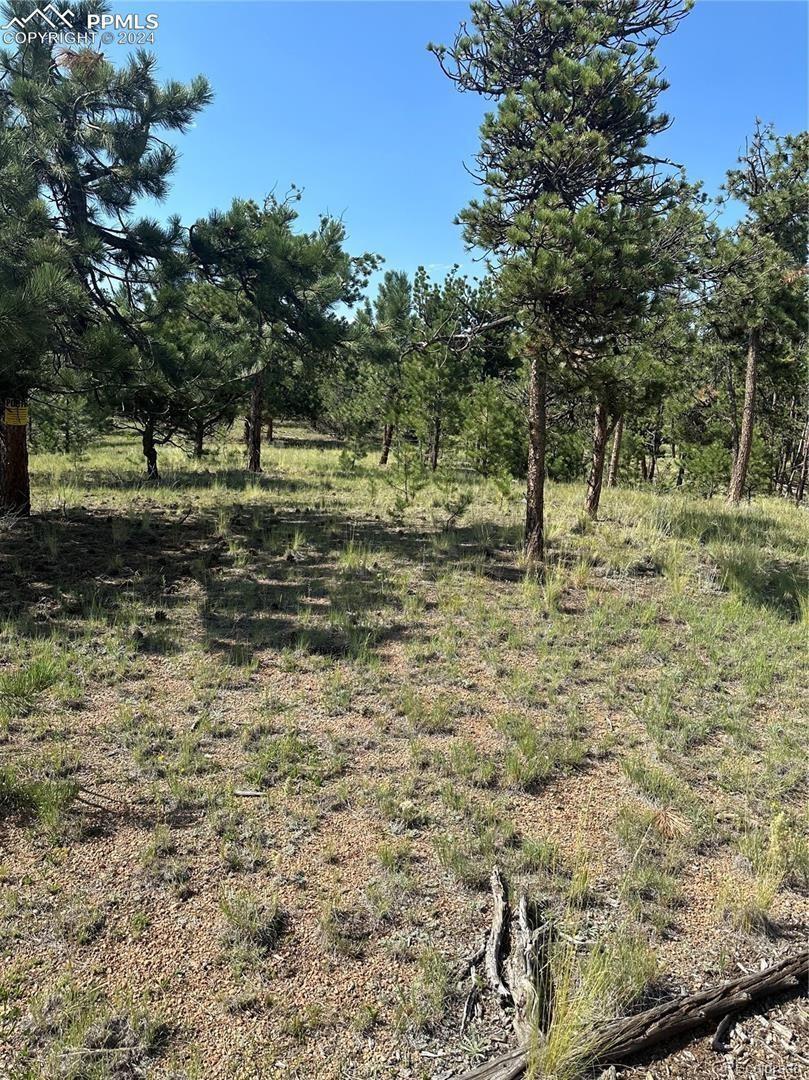 315 Thunder Ridge Road Florissant CO 80816