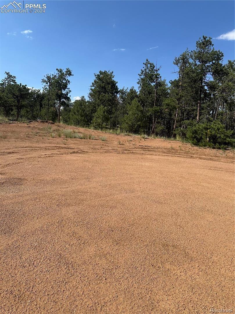 315 Thunder Ridge Road Florissant CO 80816