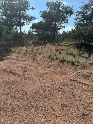315 Thunder Ridge Road Florissant CO 80816