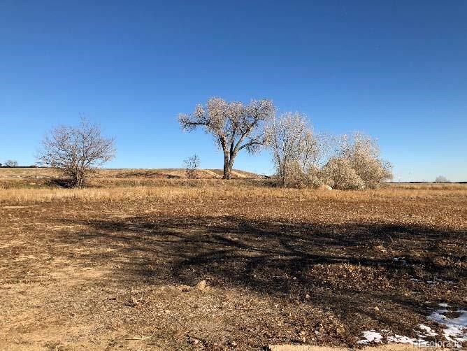 10012 N 119th Street Longmont CO 80501