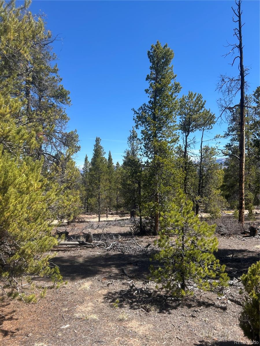 266 Ponderosa Drive Leadville CO 80461