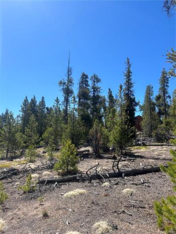 266 Ponderosa Drive Leadville CO 80461