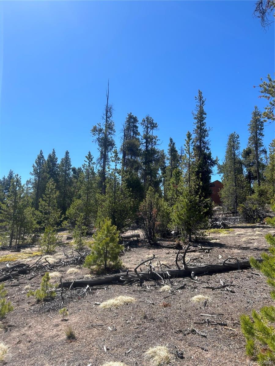 266 Ponderosa Drive Leadville CO 80461