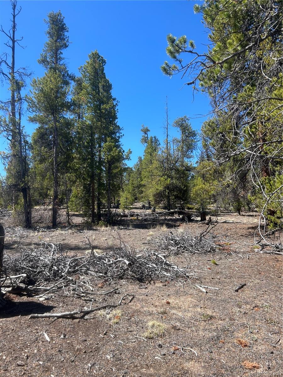 266 Ponderosa Drive Leadville CO 80461