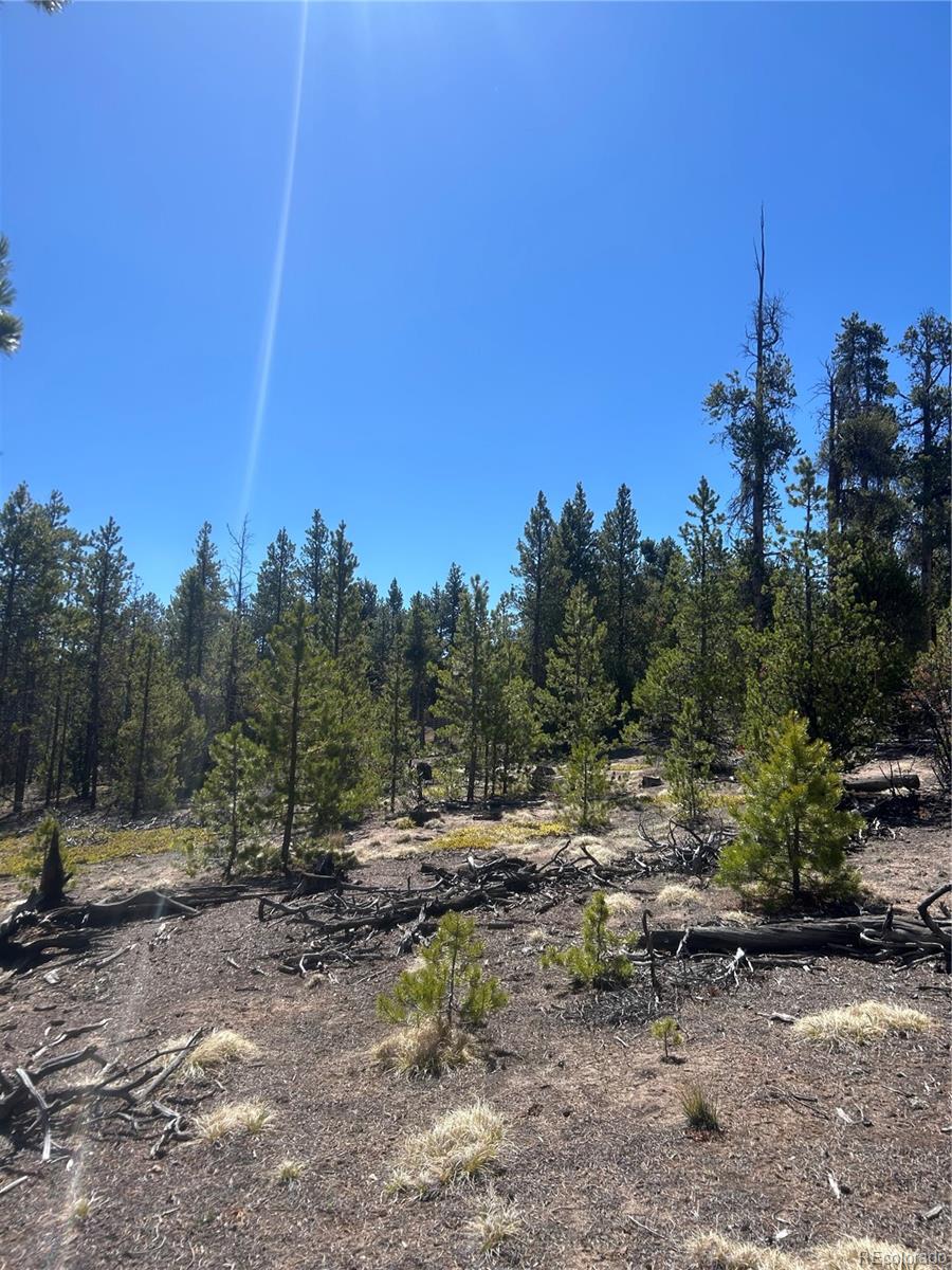 266 Ponderosa Drive Leadville CO 80461