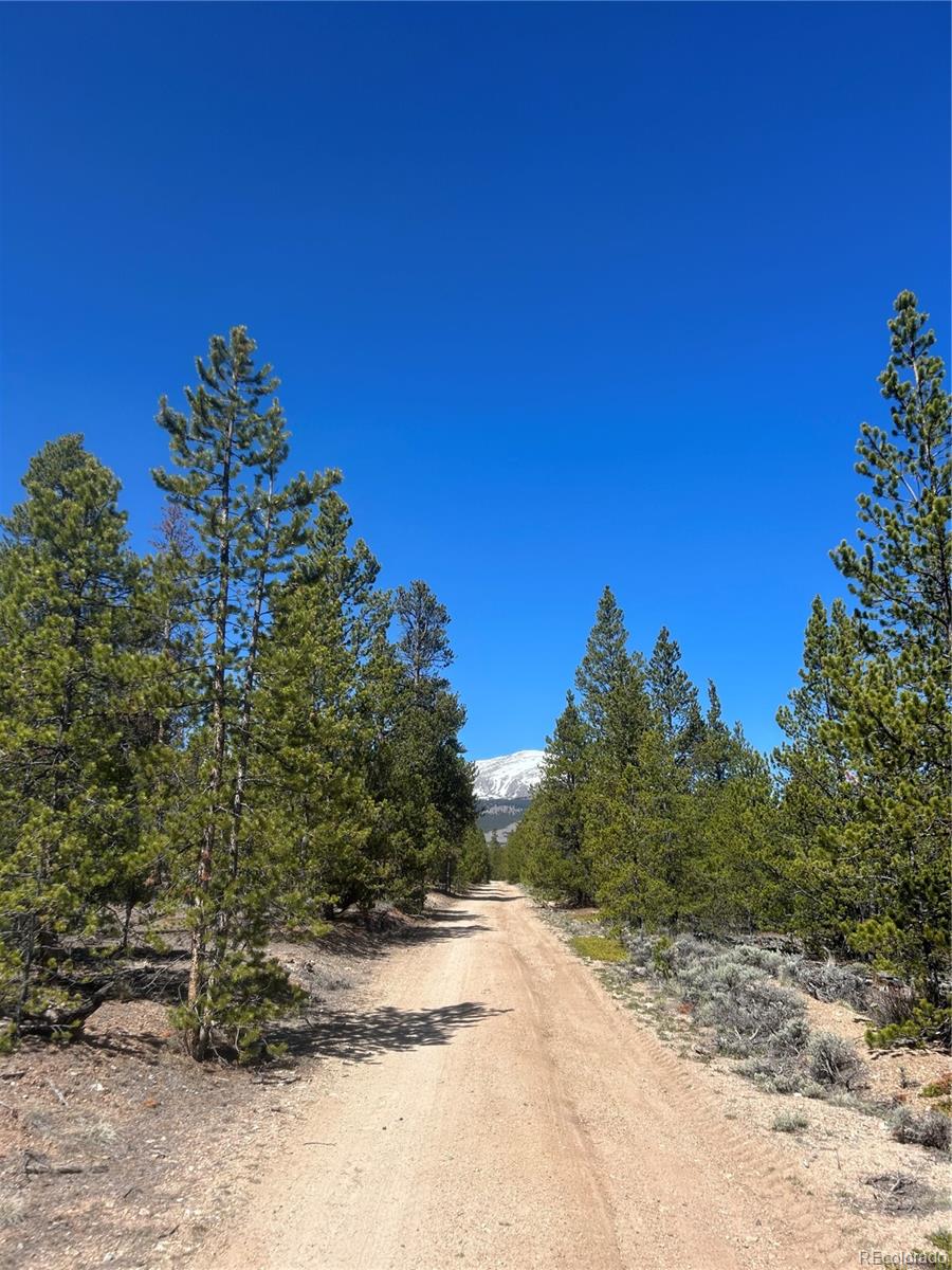 266 Ponderosa Drive Leadville CO 80461