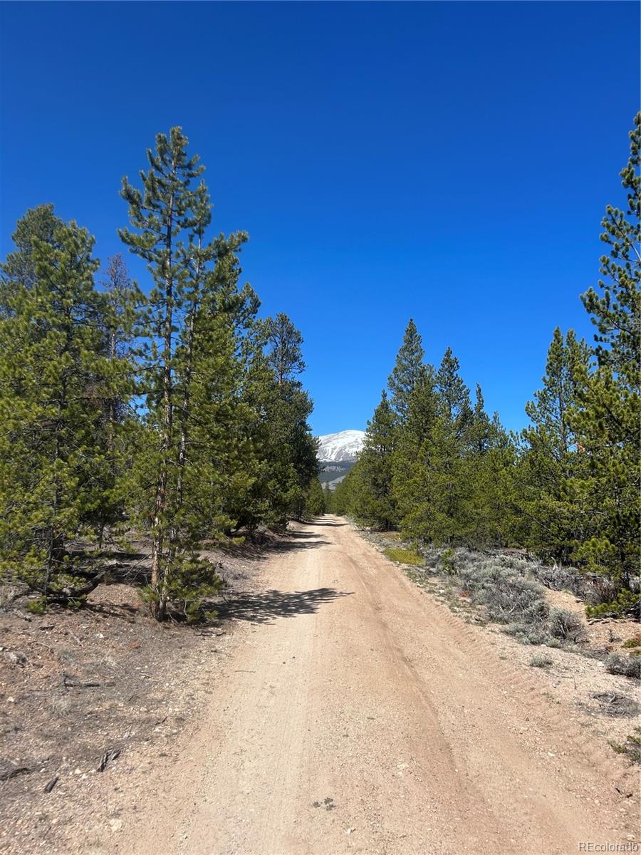 266 Ponderosa Drive Leadville CO 80461