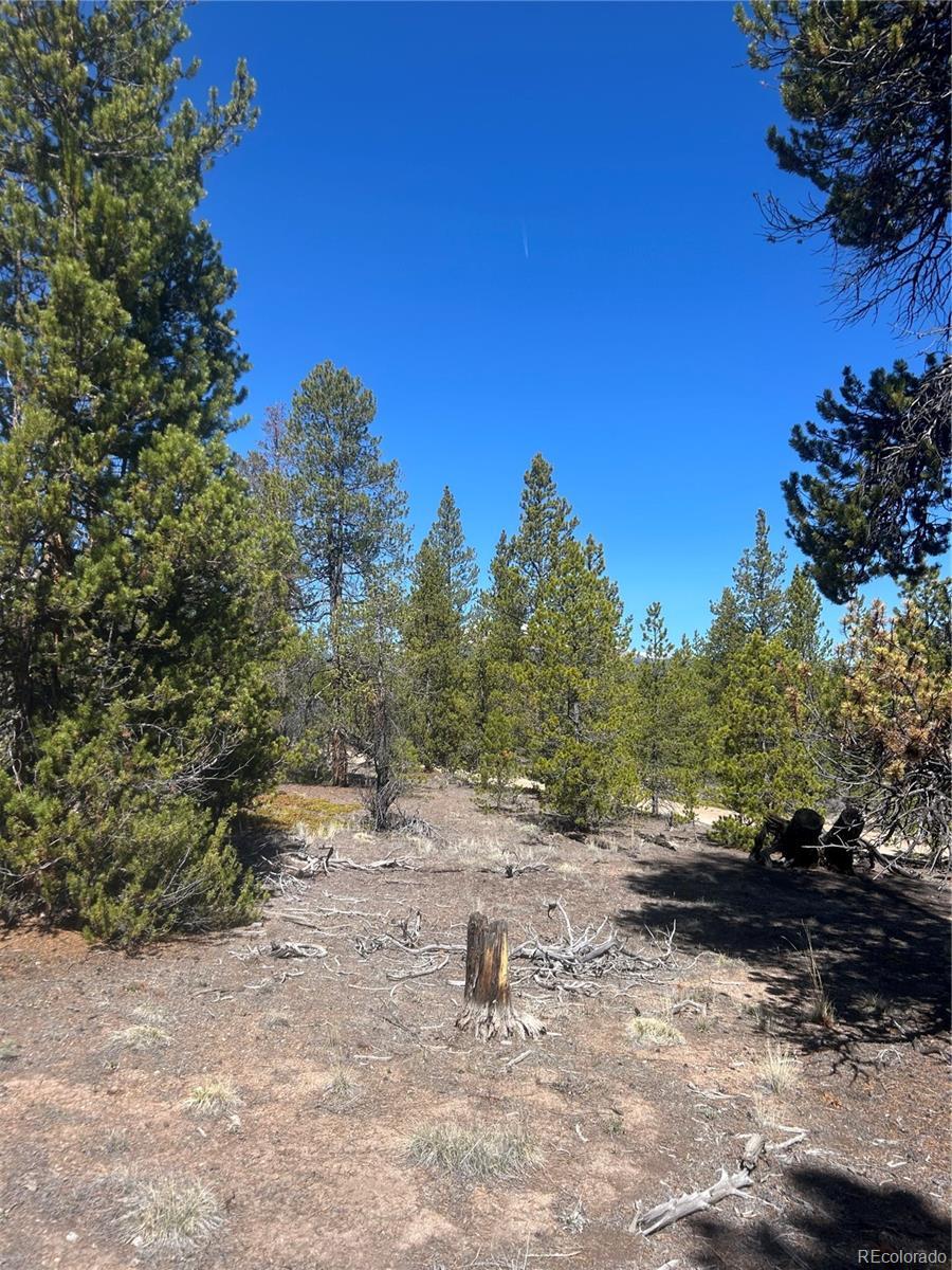 266 Ponderosa Drive Leadville CO 80461