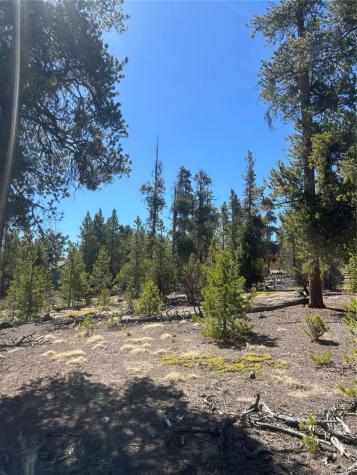 266 Ponderosa Drive Leadville CO 80461