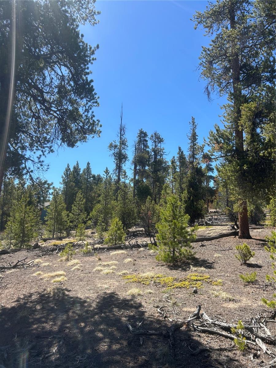 266 Ponderosa Drive Leadville CO 80461