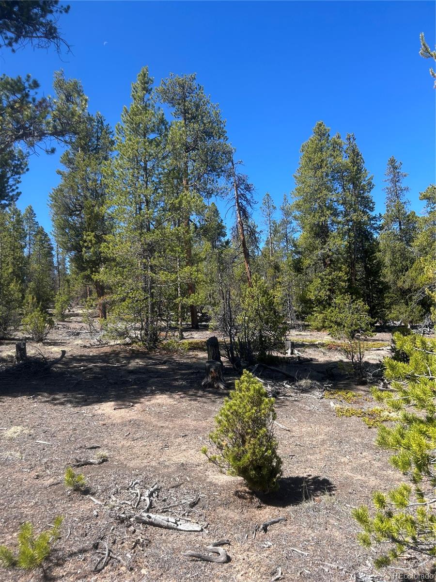 266 Ponderosa Drive Leadville CO 80461