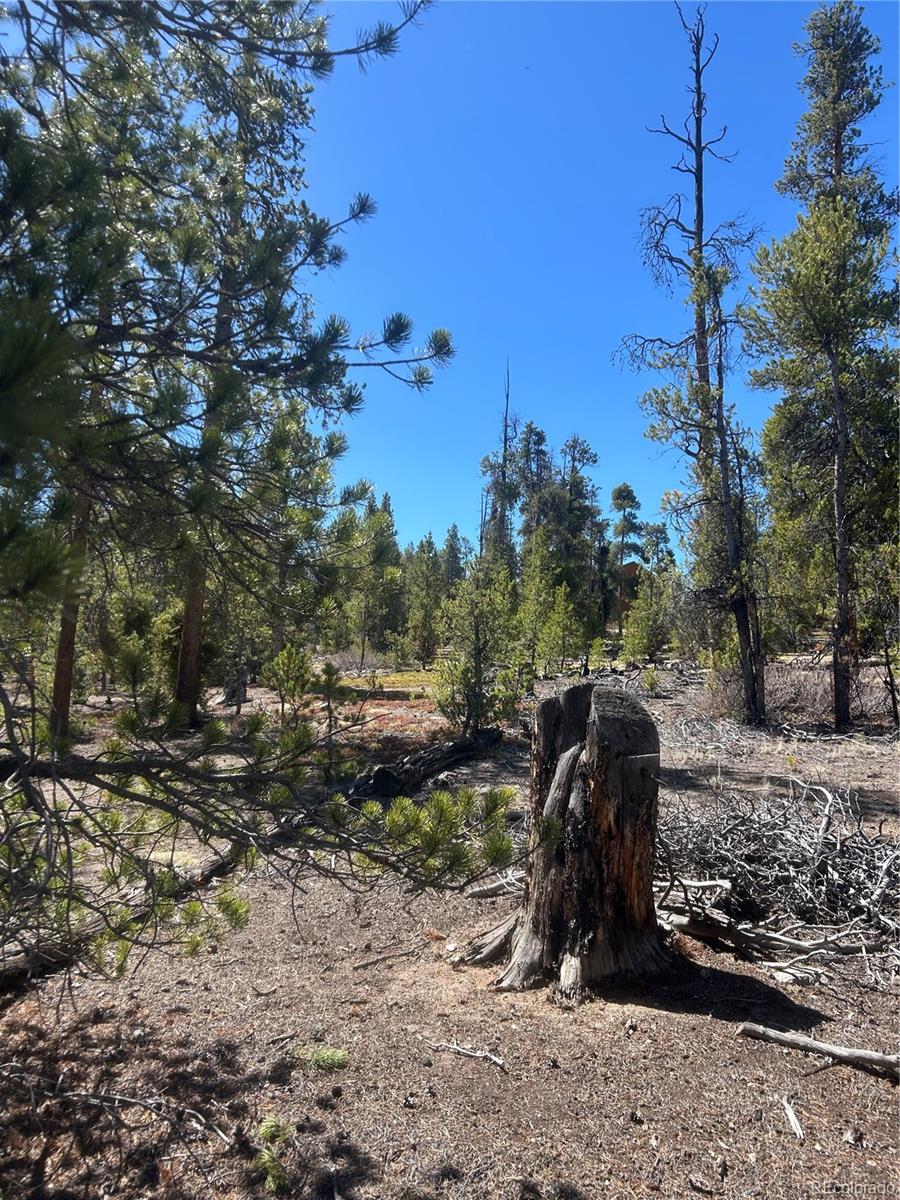 266 Ponderosa Drive Leadville CO 80461