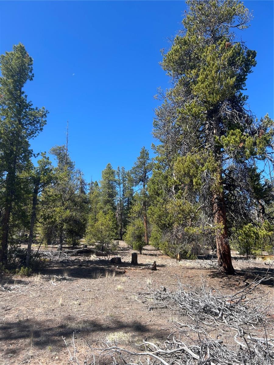 266 Ponderosa Drive Leadville CO 80461