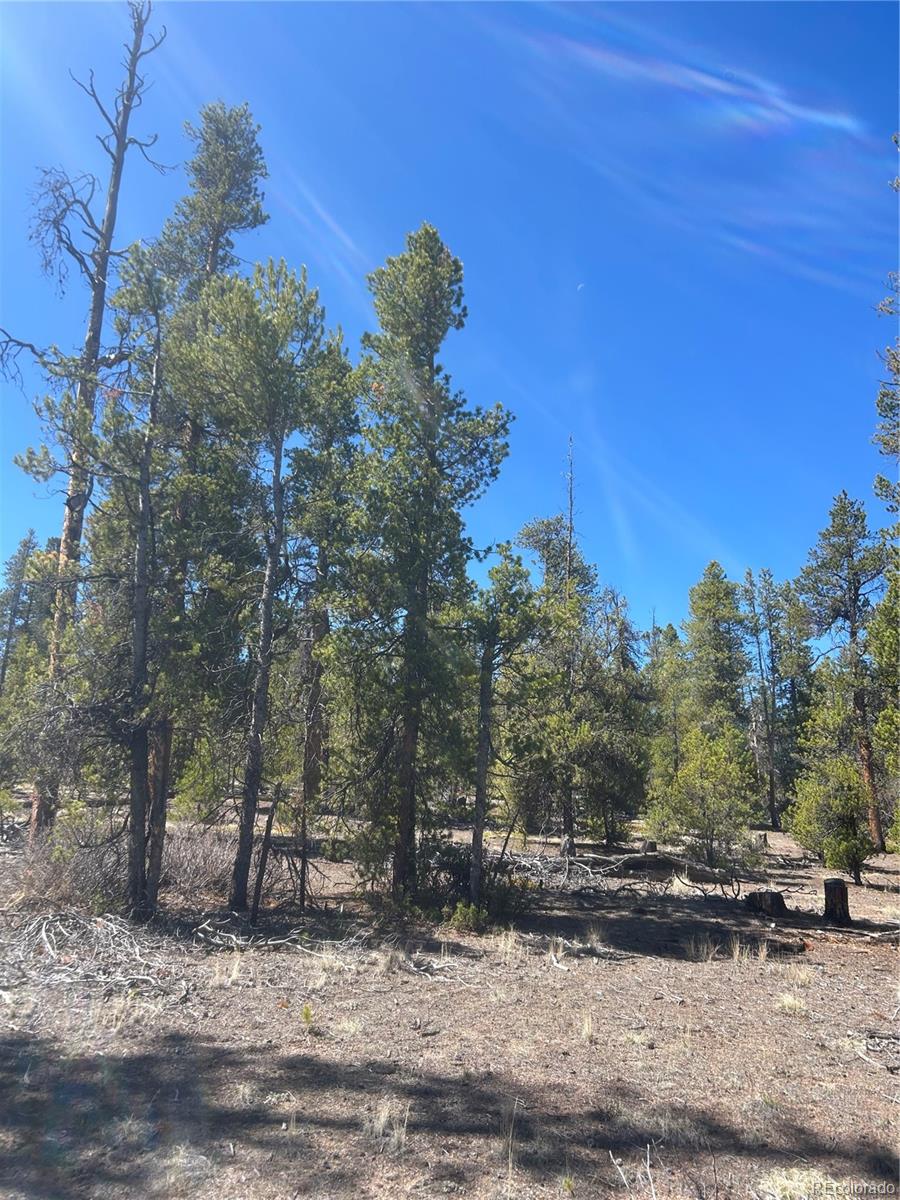 266 Ponderosa Drive Leadville CO 80461