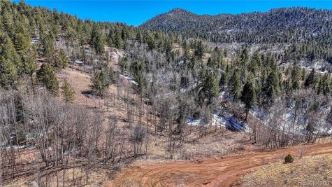 513 Last Dollar Drive Cripple Creek CO 80813