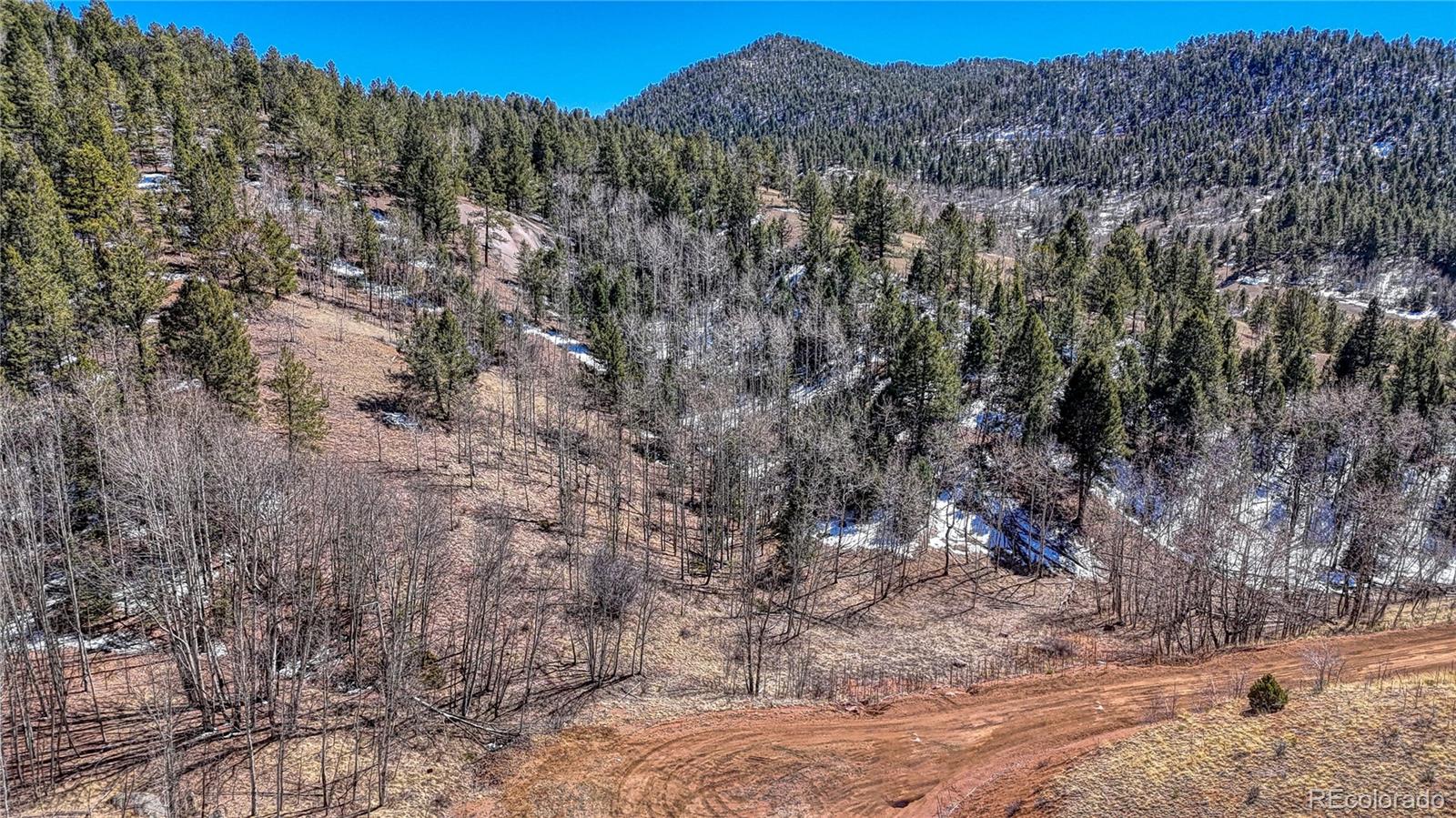513 Last Dollar Drive Cripple Creek CO 80813