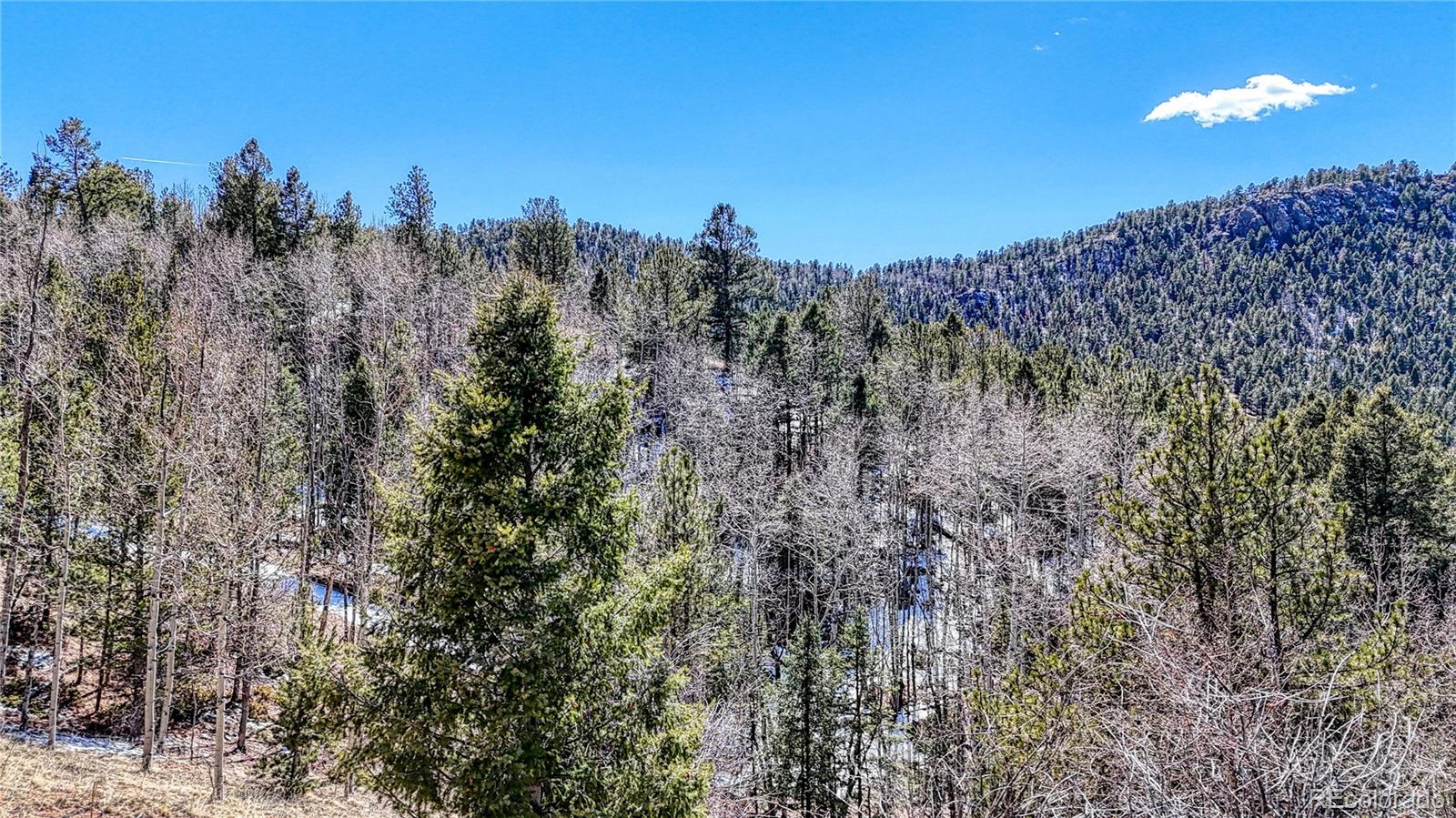 513 Last Dollar Drive Cripple Creek CO 80813