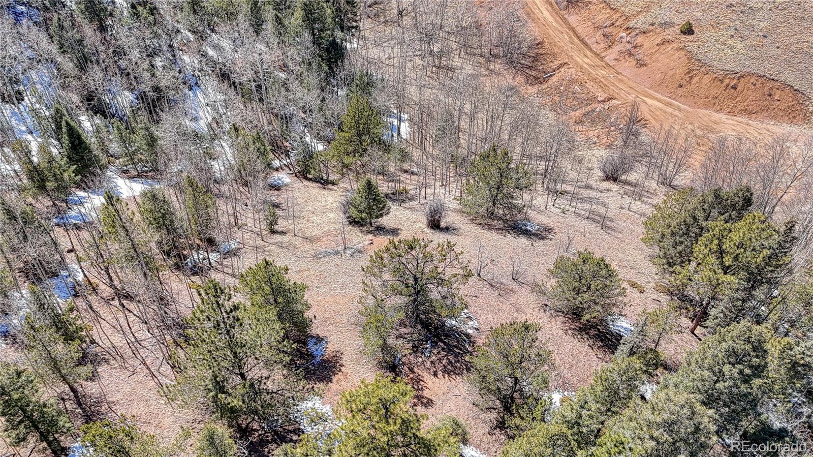 513 Last Dollar Drive Cripple Creek CO 80813