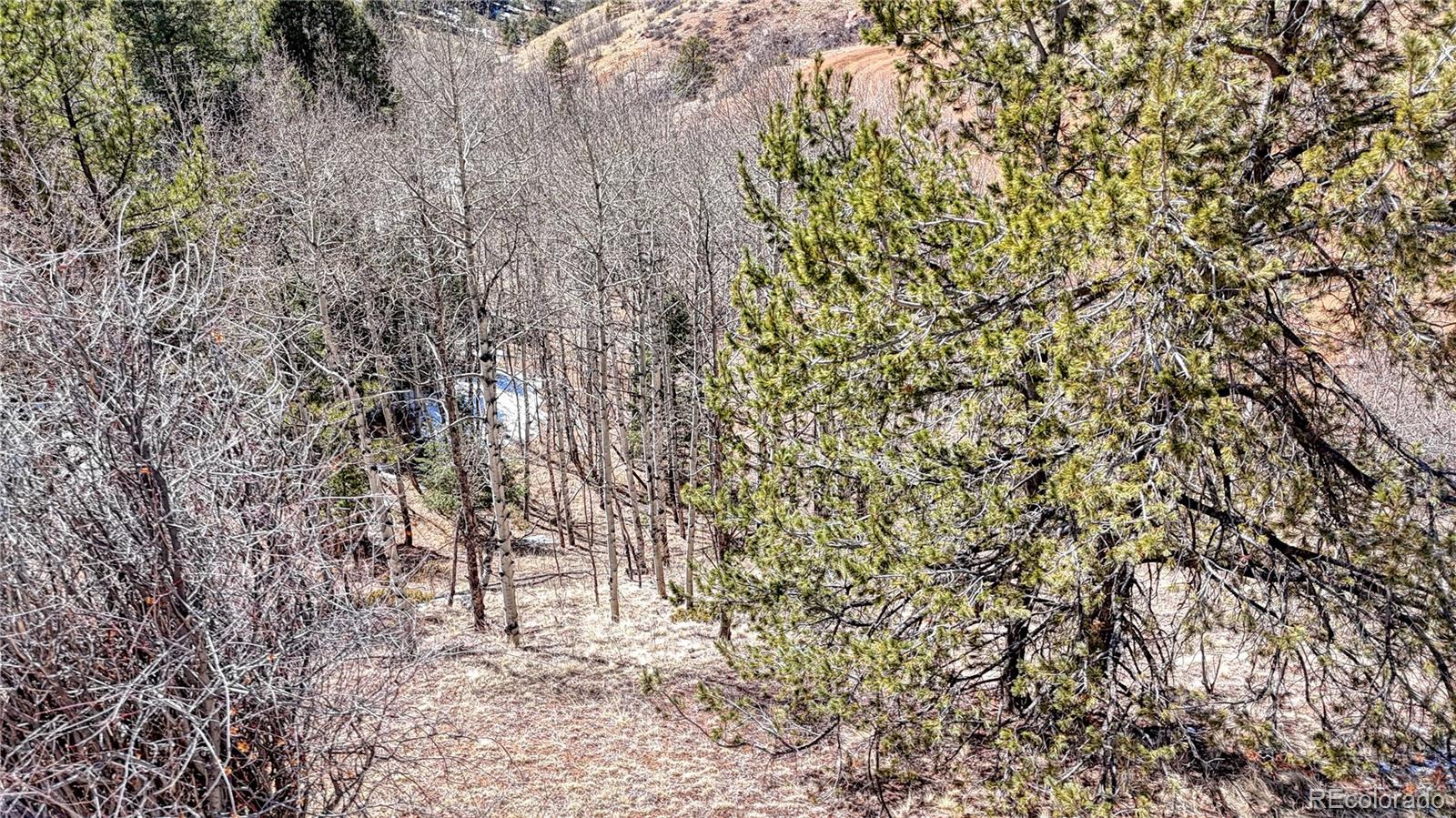 513 Last Dollar Drive Cripple Creek CO 80813