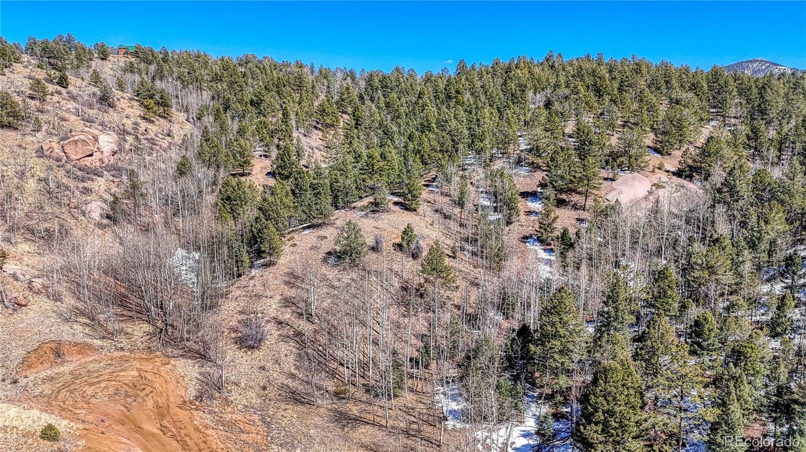 513 Last Dollar Drive Cripple Creek CO 80813