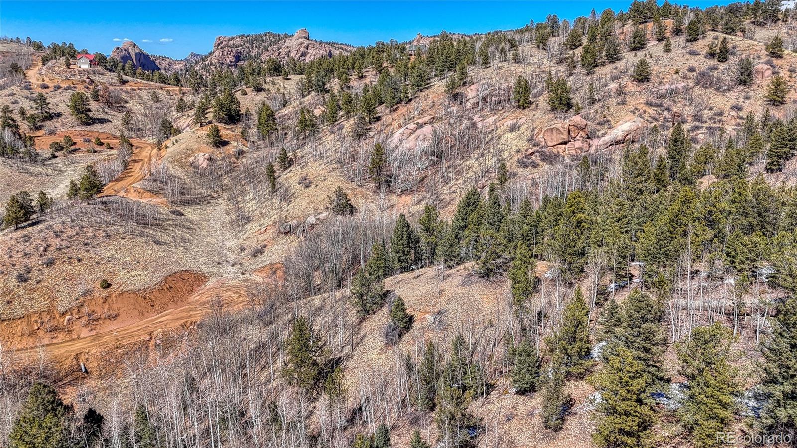 513 Last Dollar Drive Cripple Creek CO 80813