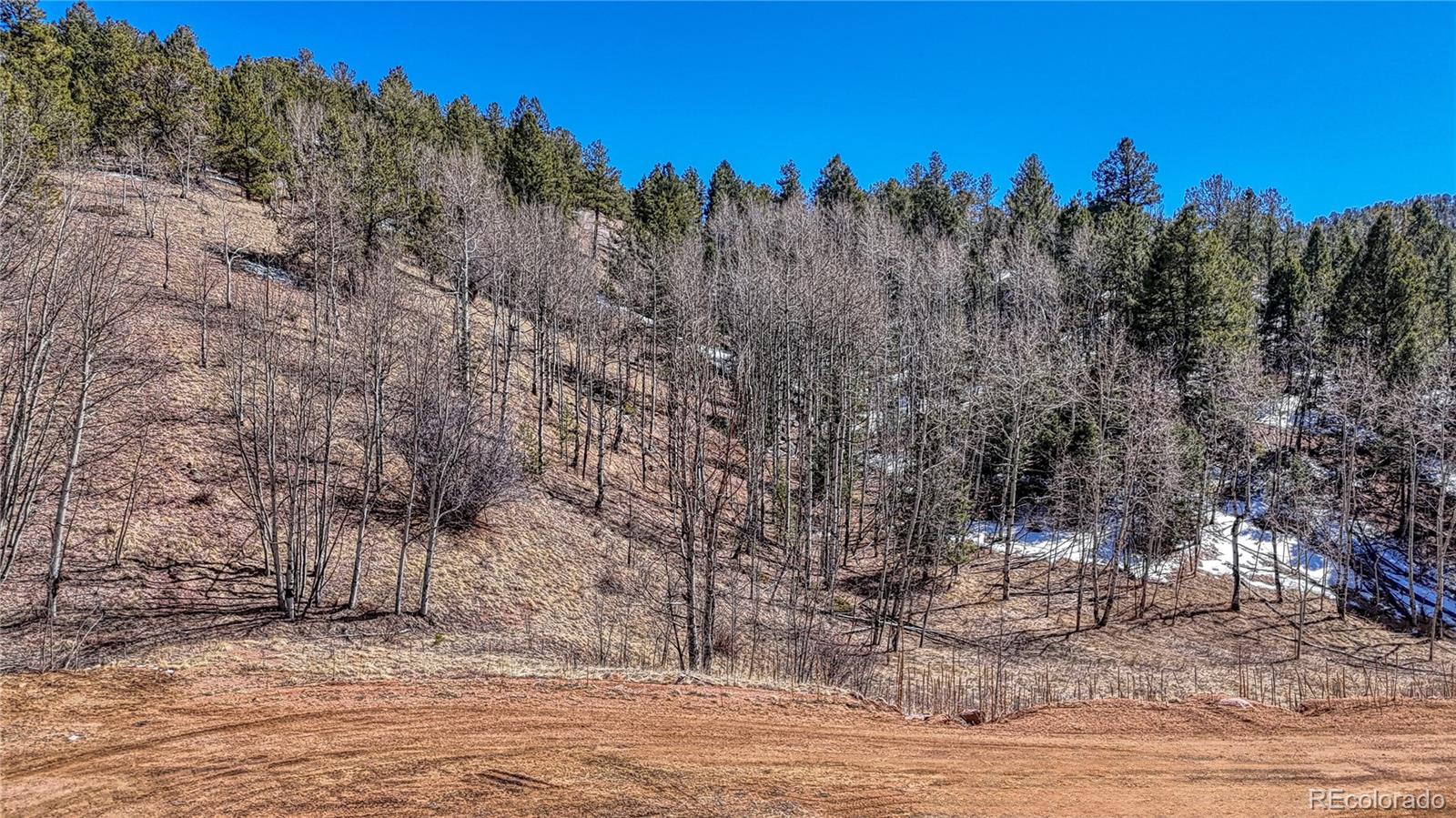 513 Last Dollar Drive Cripple Creek CO 80813