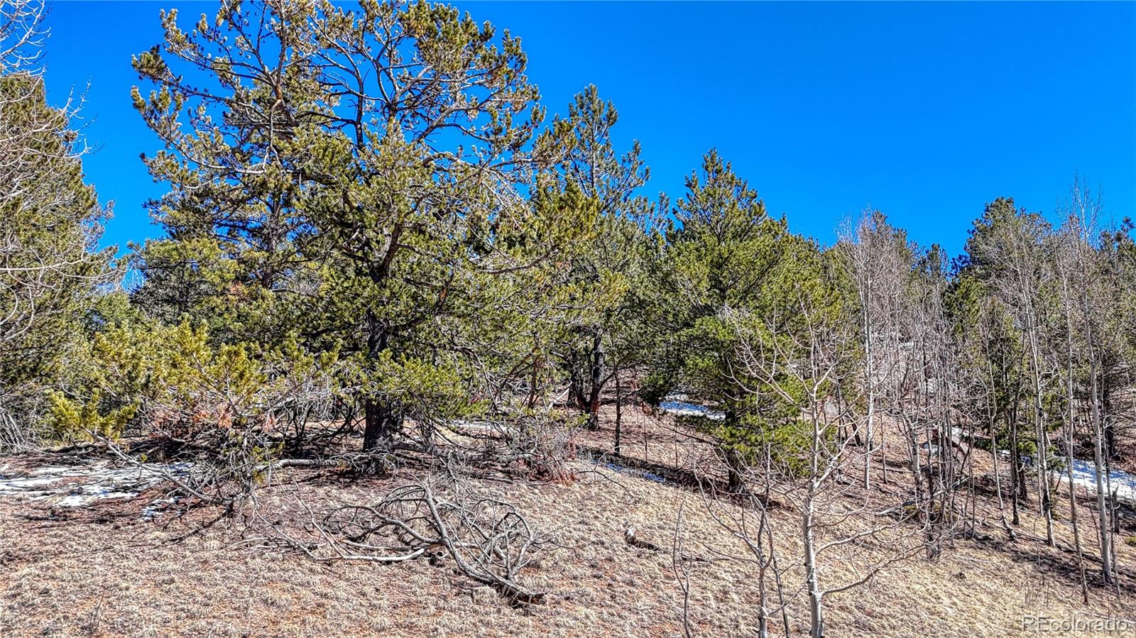513 Last Dollar Drive Cripple Creek CO 80813