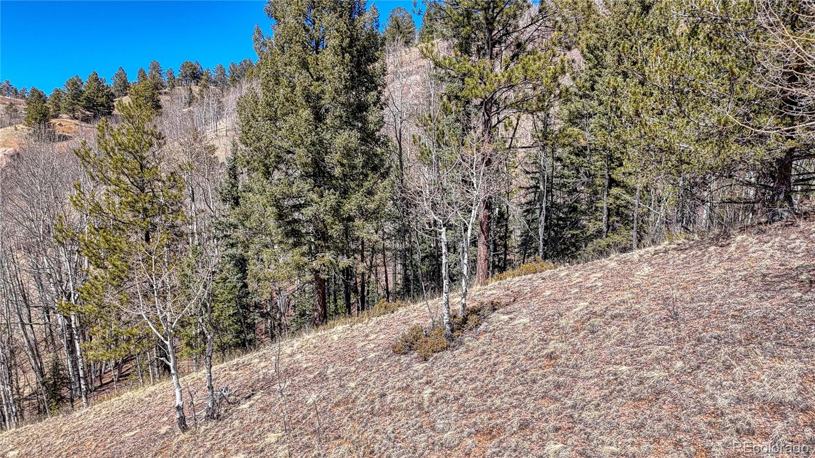 513 Last Dollar Drive Cripple Creek CO 80813