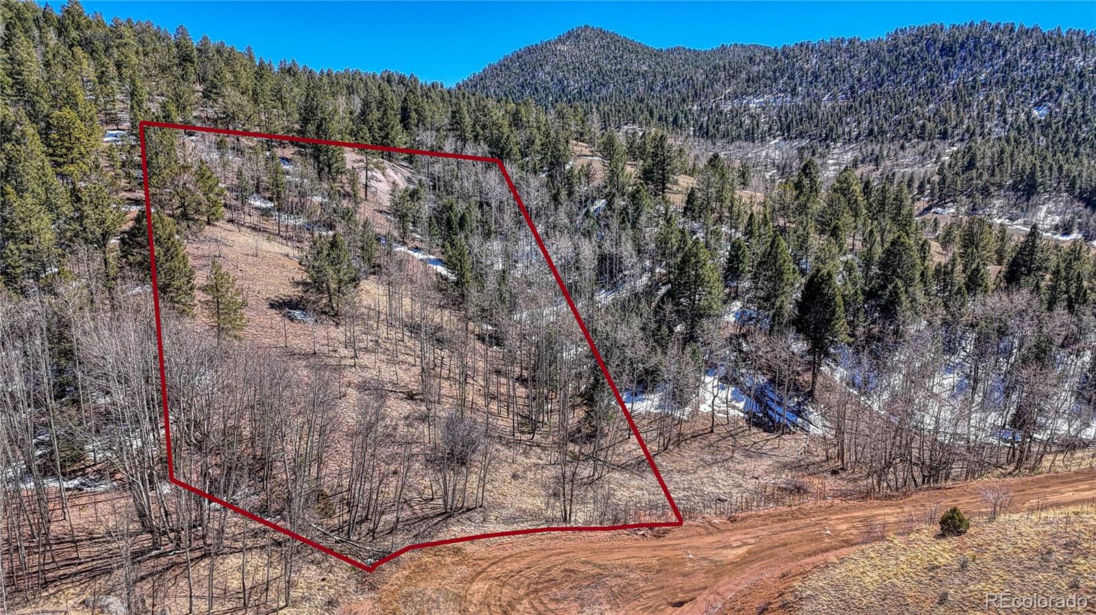 513 Last Dollar Drive Cripple Creek CO 80813