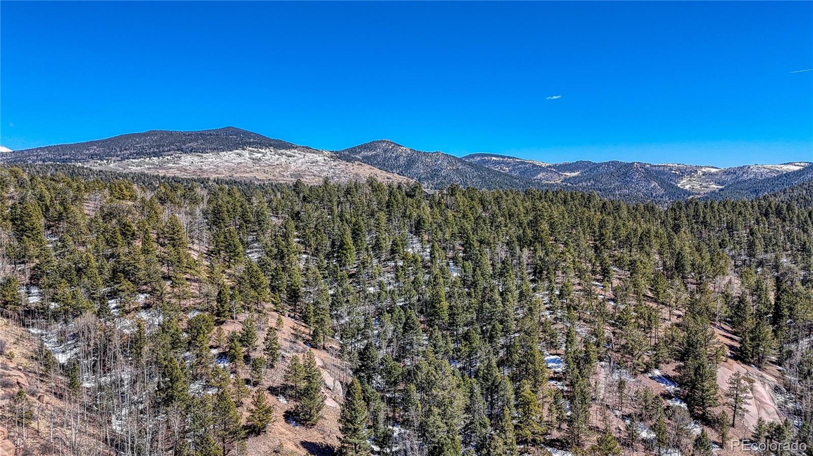 513 Last Dollar Drive Cripple Creek CO 80813