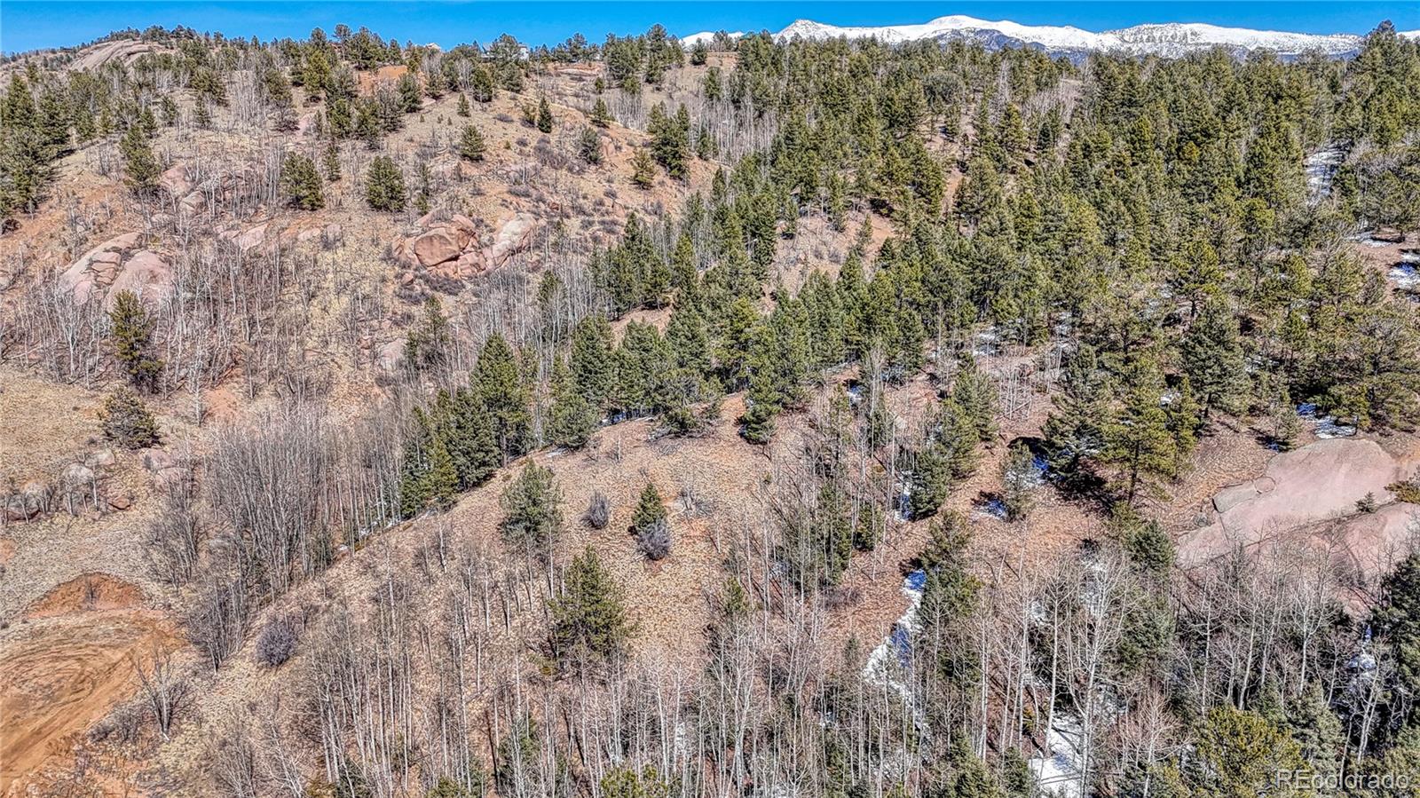 513 Last Dollar Drive Cripple Creek CO 80813