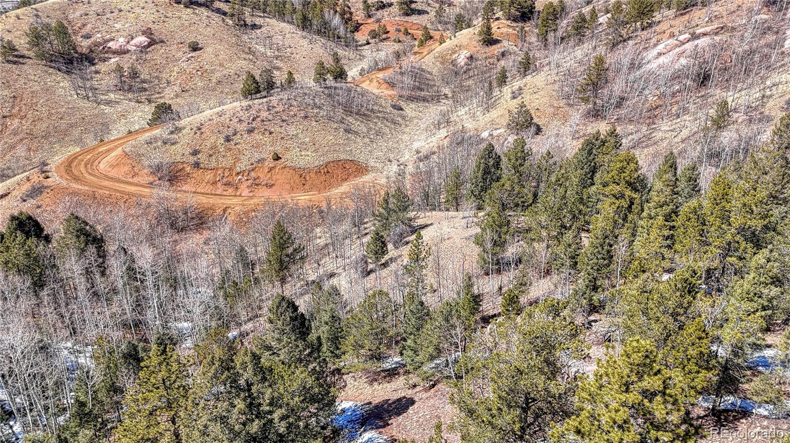 513 Last Dollar Drive Cripple Creek CO 80813
