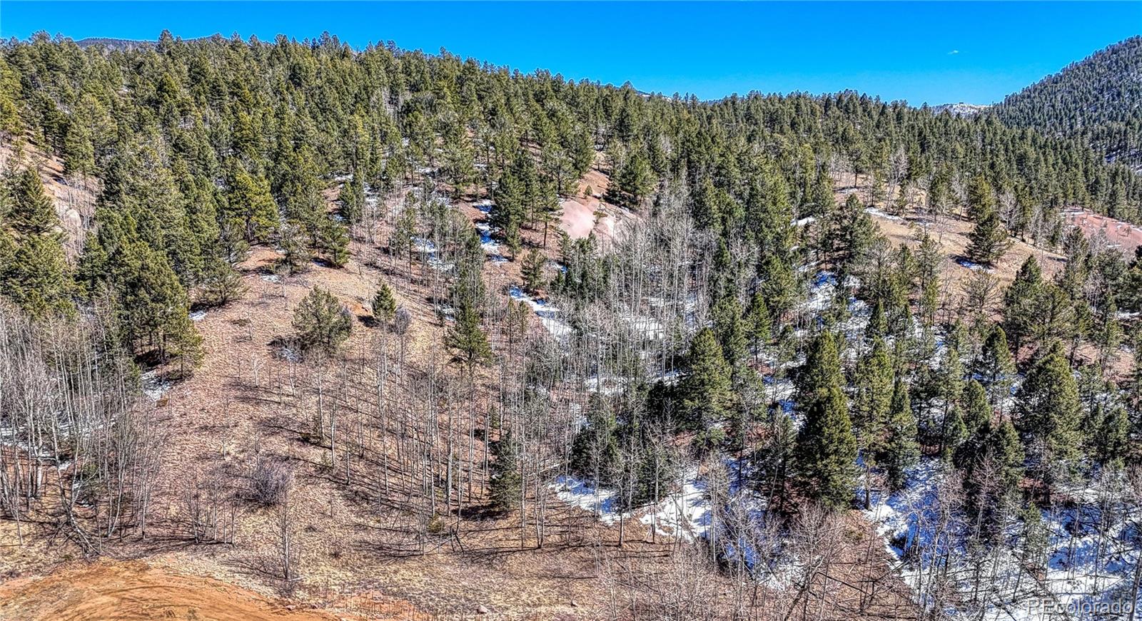513 Last Dollar Drive Cripple Creek CO 80813