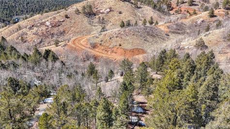 513 Last Dollar Drive Cripple Creek CO 80813