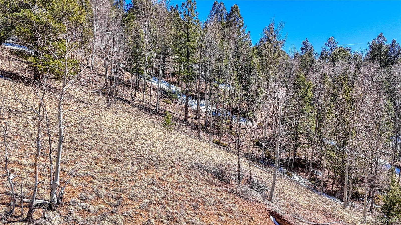 513 Last Dollar Drive Cripple Creek CO 80813
