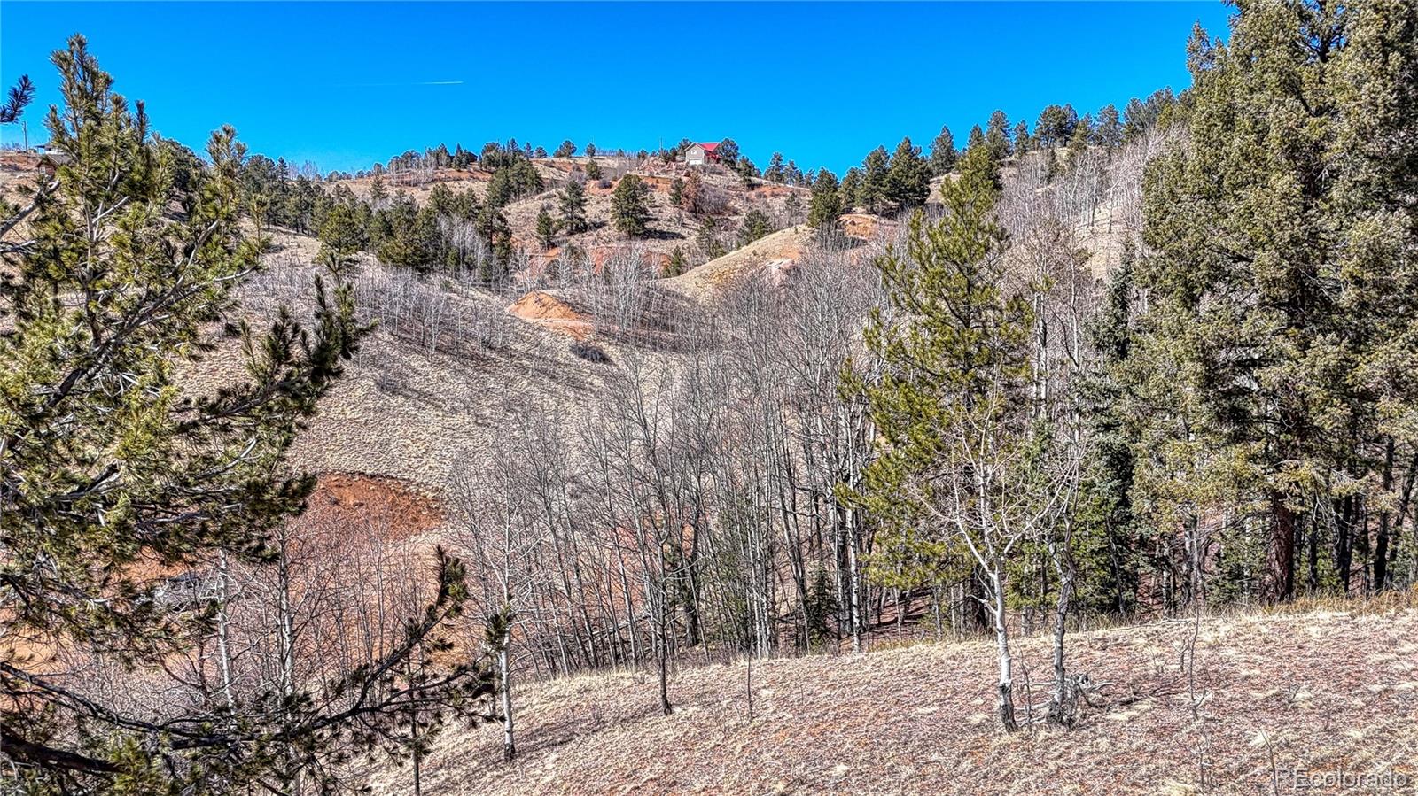 513 Last Dollar Drive Cripple Creek CO 80813