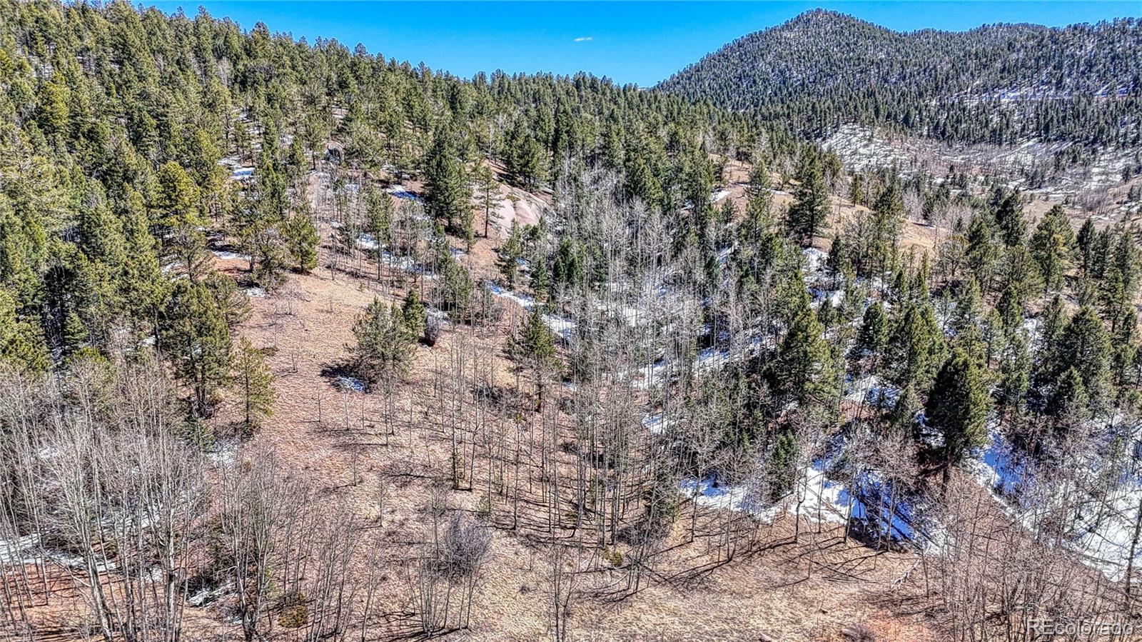 513 Last Dollar Drive Cripple Creek CO 80813