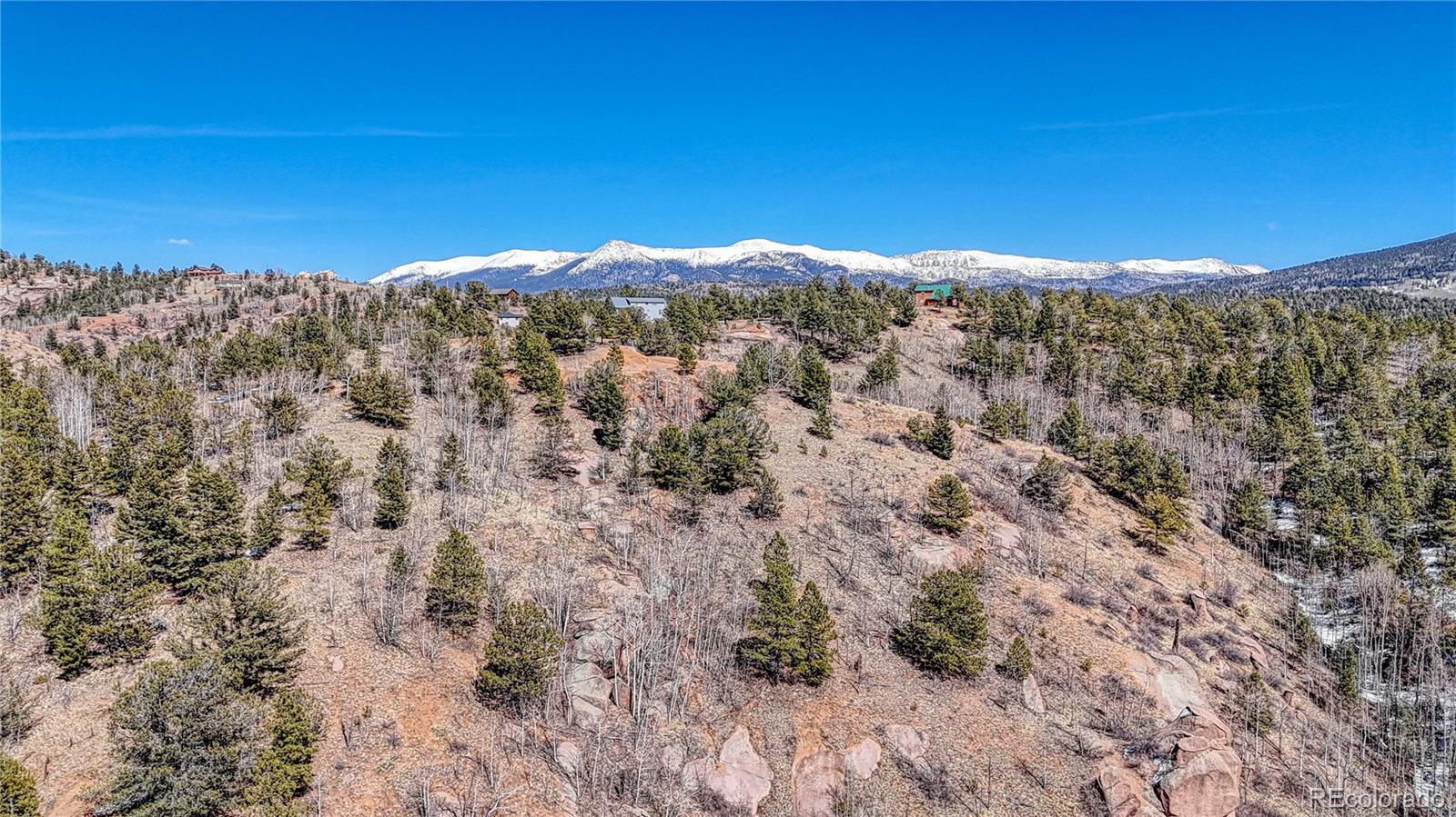 513 Last Dollar Drive Cripple Creek CO 80813