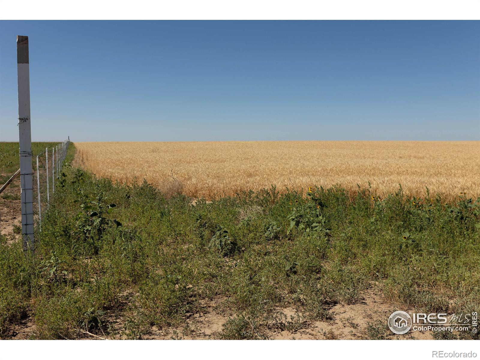 1 Lots 1-6 Vacant Land Penrith Bennett CO 80102