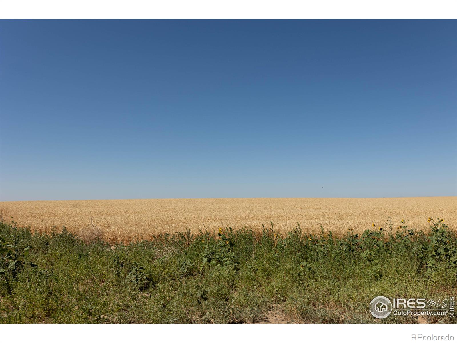 1 Lots 1-6 Vacant Land Penrith Bennett CO 80102