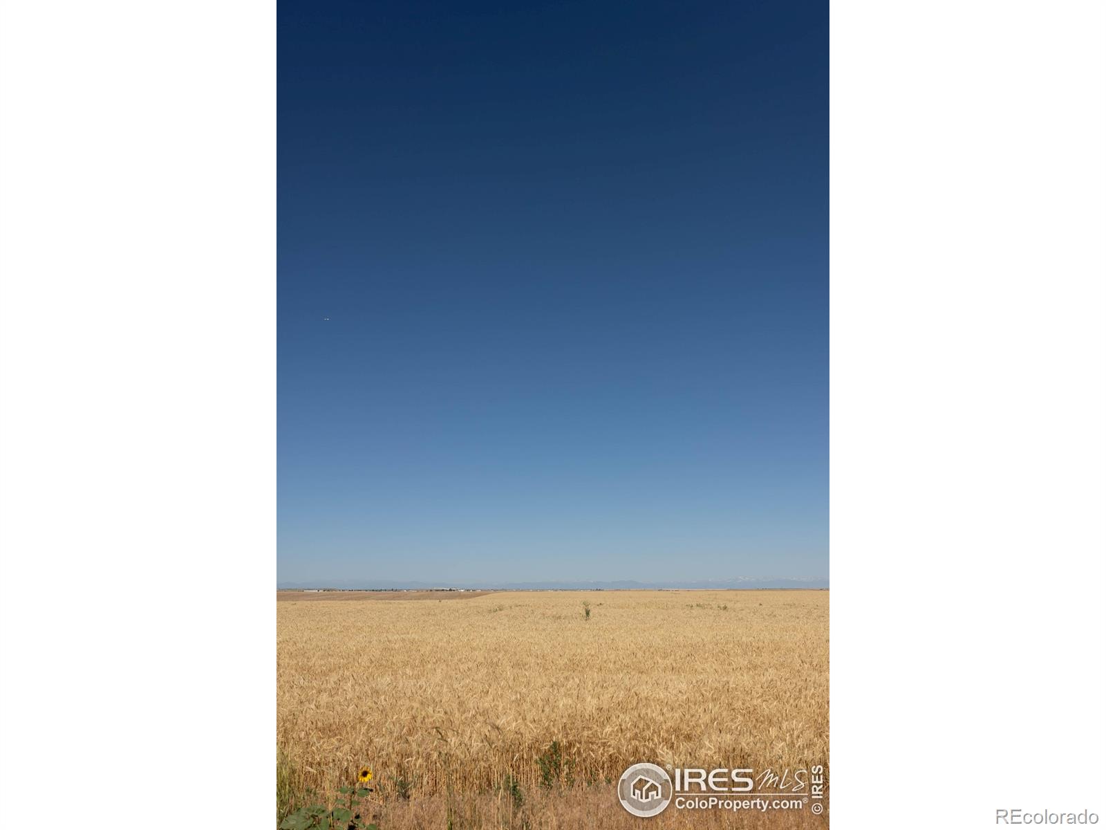 1 Lots 1-6 Vacant Land Penrith Bennett CO 80102