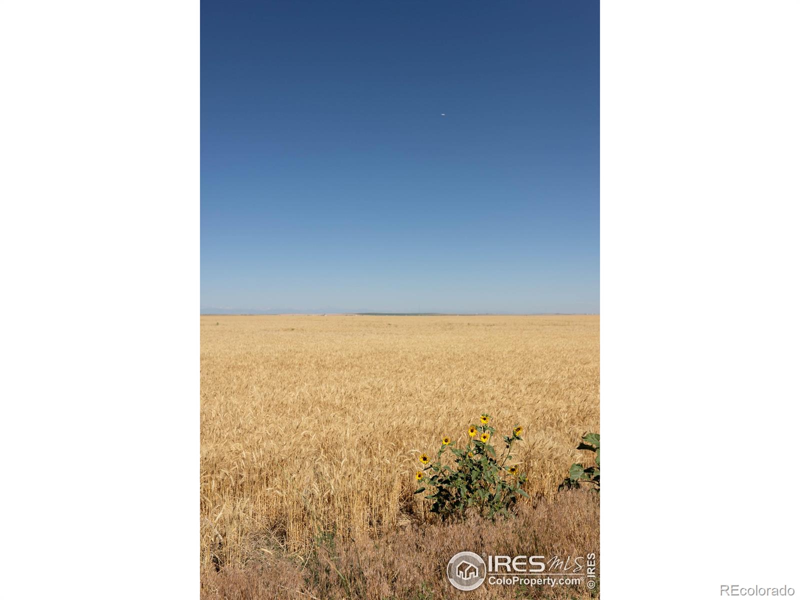1 Lots 1-6 Vacant Land Penrith Bennett CO 80102