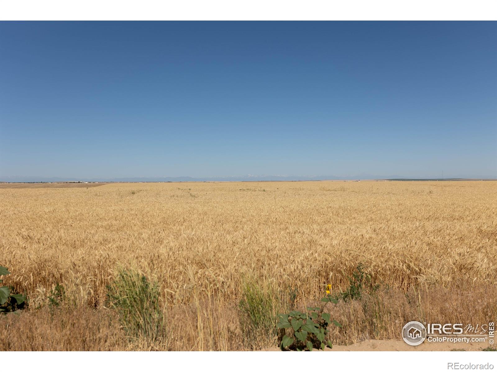 1 Lots 1-6 Vacant Land Penrith Bennett CO 80102
