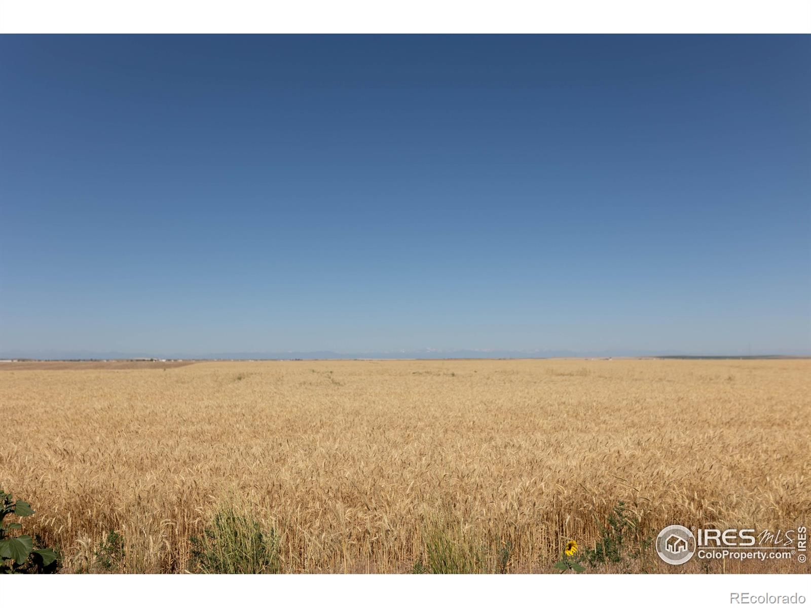 1 Lots 1-6 Vacant Land Penrith Bennett CO 80102