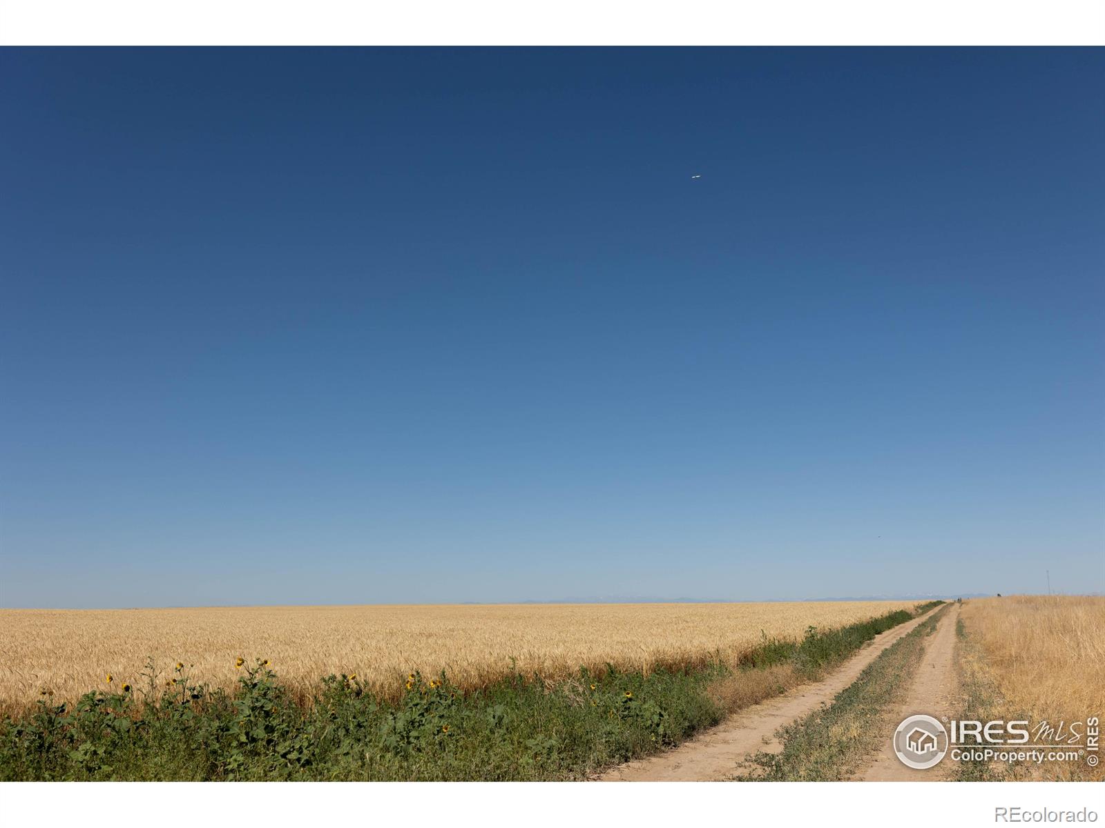 1 Lots 1-6 Vacant Land Penrith Bennett CO 80102