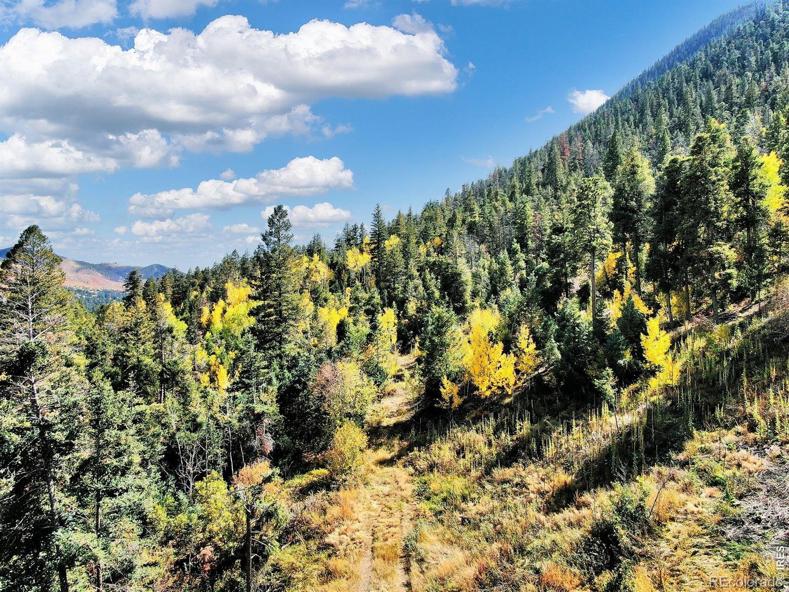 5295 Kulsa Road Cascade CO 80809