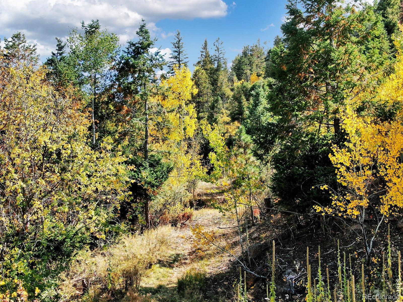 5295 Kulsa Road Cascade CO 80809