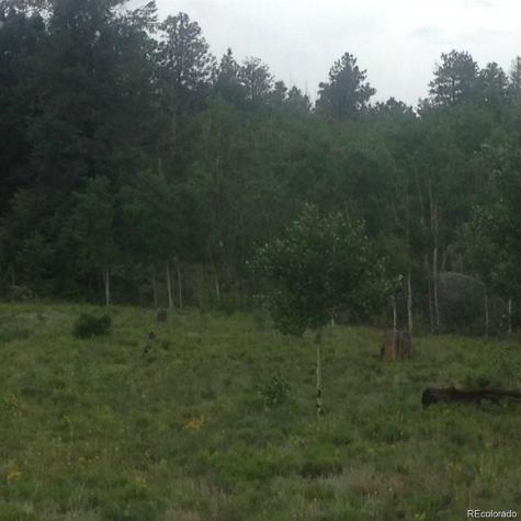 1681 Athapascan Road Hartsel CO 80449