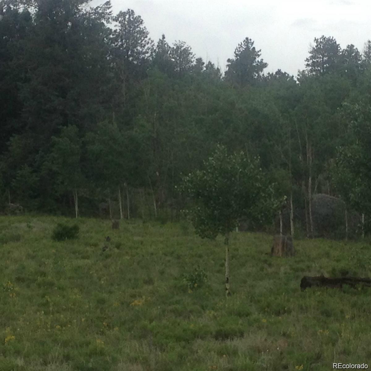 1681 Athapascan Road Hartsel CO 80449